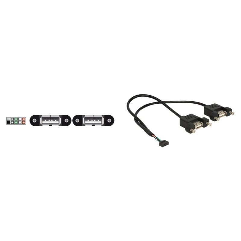 Delock USB intern til ekstern kabel 25cm Sort Delock USB intern til ekstern kabel 25cm Sort